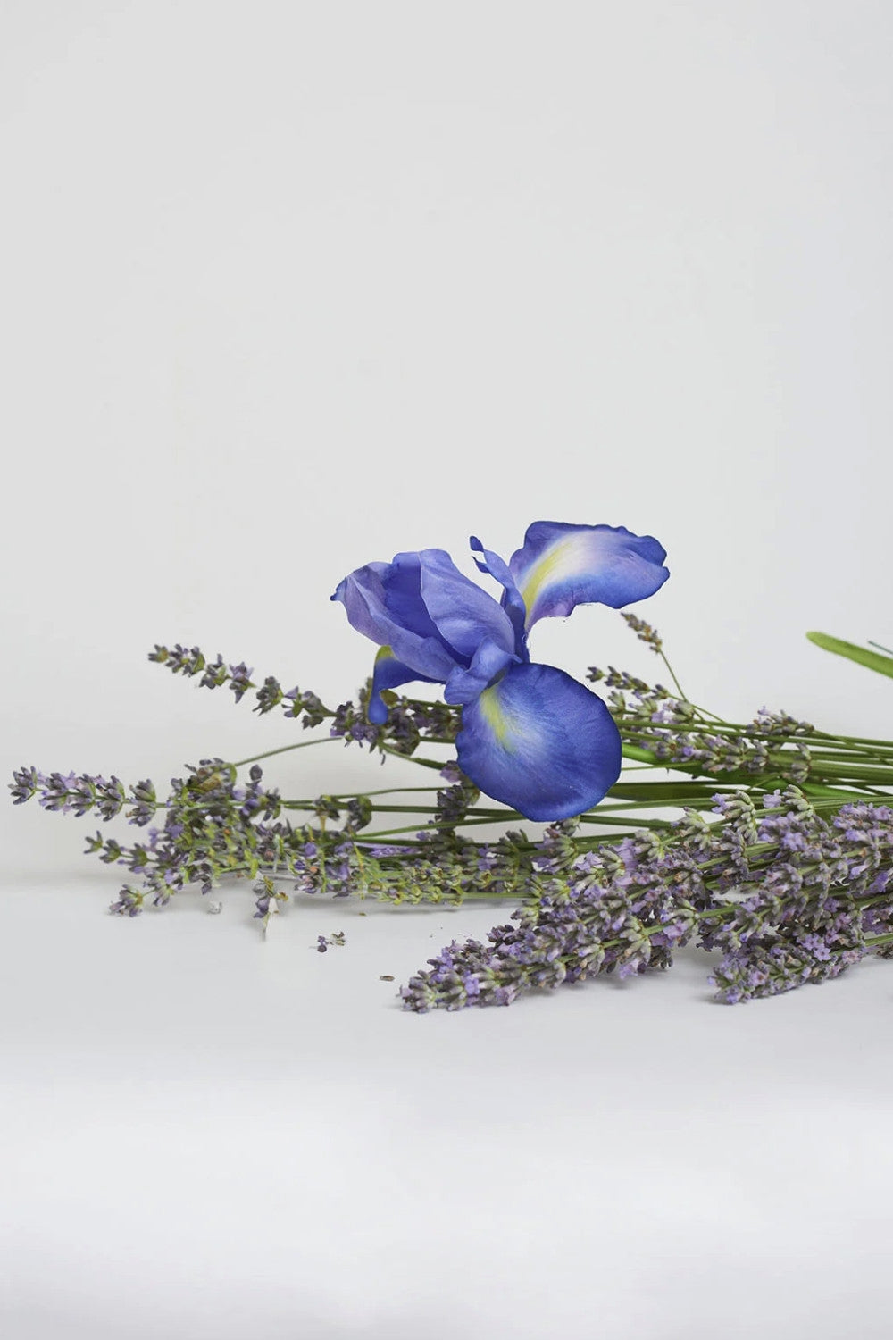 Profumatore per ambiente lavanda e iris