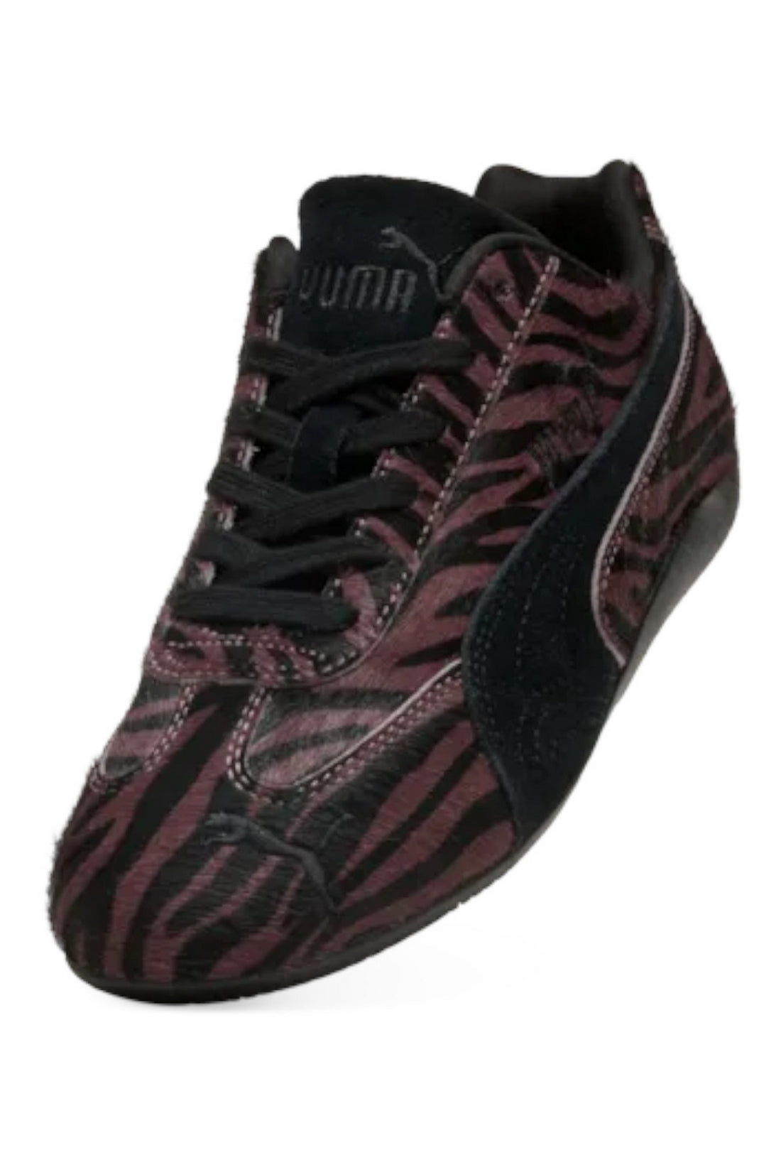 sneakers speedcat zebrata