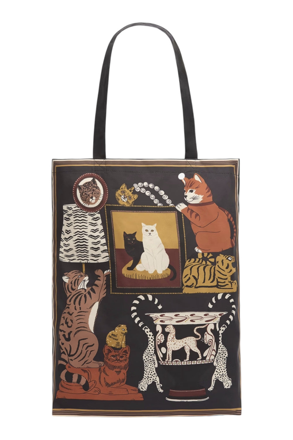 shopping in nylon fantasia gatti 