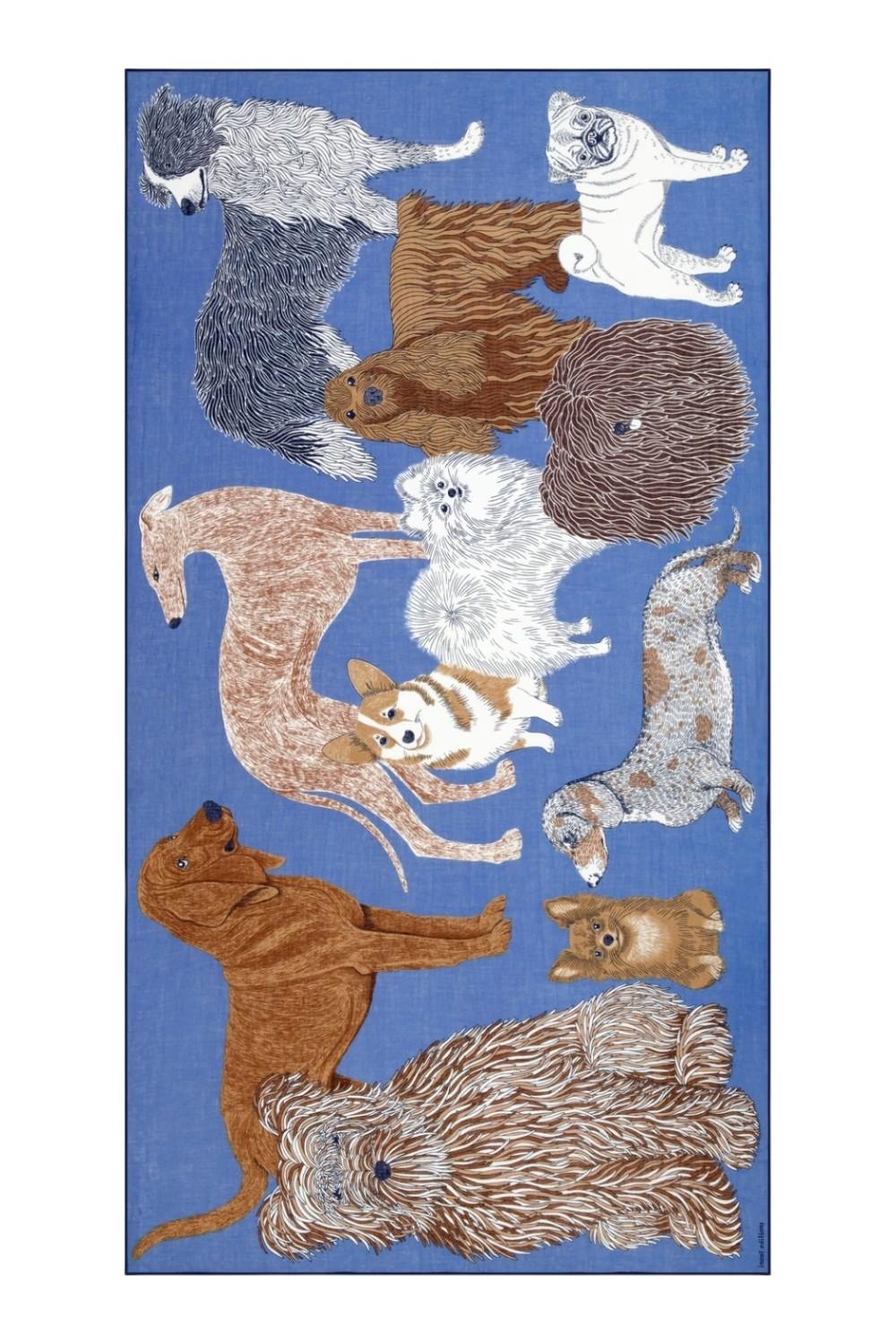 sciarpa donna 100x190 fantasia toutou blu 