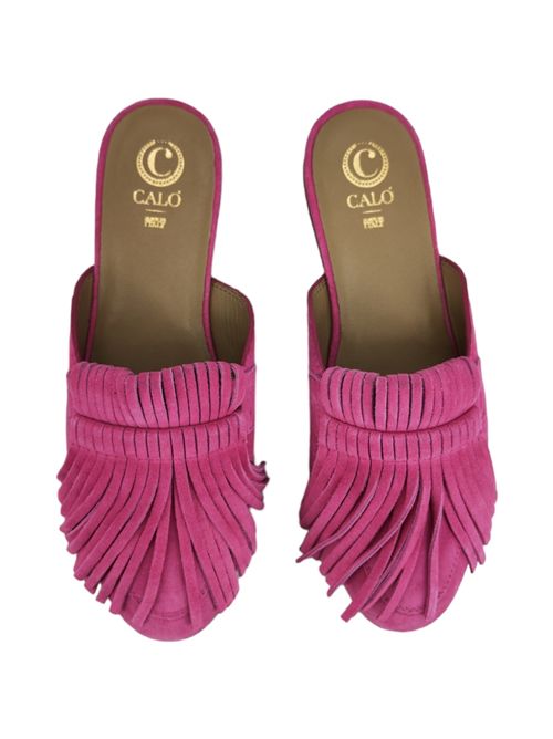  Calò | LEDAFUCSIA