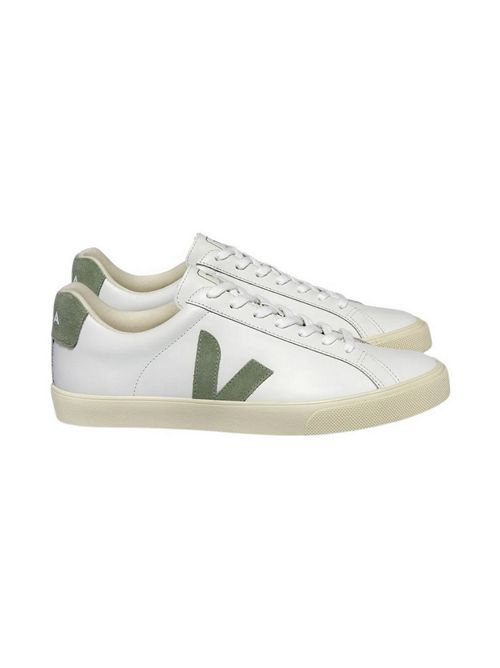  Veja | EO203881